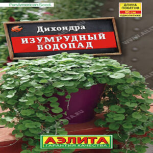 26XVKK2PsetSIFkokNTfgBbK6Z9ZMUvc400_400-1