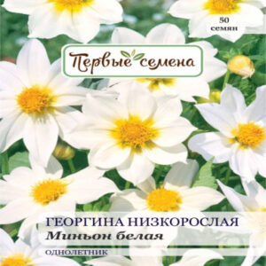 2BtJjHpF7F6OmPik4CMxYeViTbeR1JX9400_400-1
