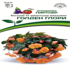 36XuBNx9EZYt3NbOpCuSQ87koB9ftWMU400_400-1