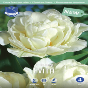 3kbG4sVzJ2aP8aMCbb9R8WFWC6mp7D6B400_400-1