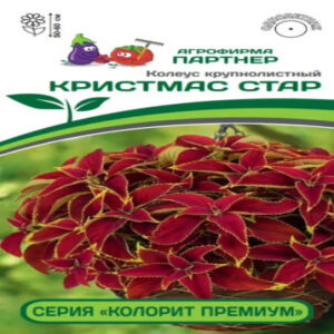 5AwugAasTf7cmOK3mEr9g1SXmiHV8Eyt400_400-1