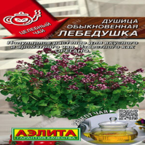 5liKftyAT1YG1zAxtvl2cJX0VVgBZxBR400_400-1