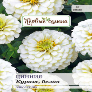 7ozILvlKdrlOLwf24i83UWwLJZzyoDKF400_400-1