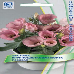 9XBc2DHdlwdaKxvbCLC4iOetrNryqnh8400_400-1