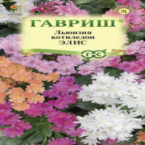 AxxnGbGdP5VlL9Tr6nriHan5m8ZCL9E6400_400-1