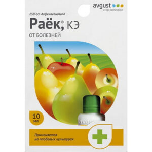 EGL2tb1gb72djkE9jqsYNB6X31kpxGgL400_400-1