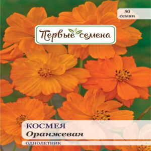 EL9uVcs2pIumByyoFGjlK6kTd5MIQWWR400_400-1