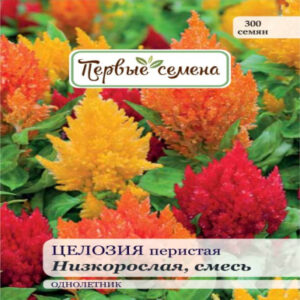 ETiI1PXL6t2RIM4taS4QCEc5Ct8vXAqv400_400-1
