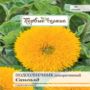 FrkOD898TfesIpflKuYEfyxGDl4TPoqy400_400-1