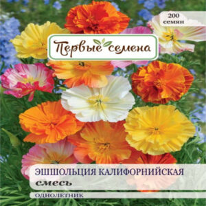 HdR7LAUah9KNMVaPI2CmXk6rpOev2aIU400_400-1