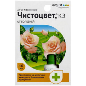 Hxj4B4atiTF3k1xEaB7LEhGZd1DPUTa8400_400-1