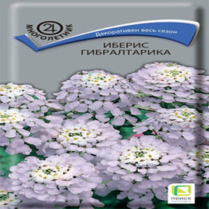 JKDmEZkoLw4Au8uFMS3LqYKnd41aQTAA400_400-1