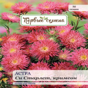 K043JNzzHvmc7CLfjETeKtu3b8oPxPtA400_400-1