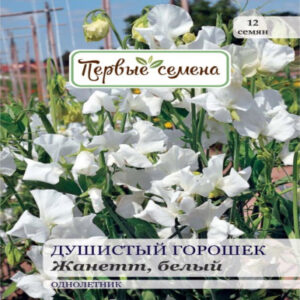 L0i9YD0VoTzfsdDJWDMKoofAq5cIgZku400_400-1