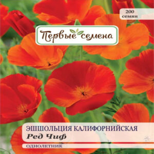 MQeHfPzj5djYJQ884IUymo65yFiarAez400_400-1