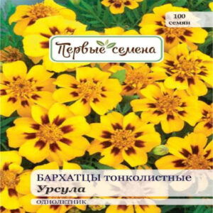 PQSqbUDdm5GSAlZCIuSAqPuzp3N9F5ns400_400-1