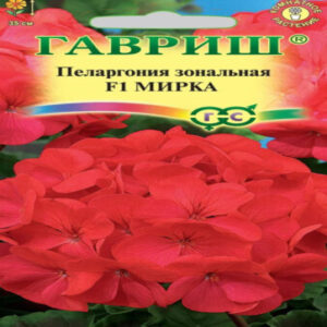 PhMdWxptvh4b99qPEKNHXg9im9ZHq0JX400_400-1
