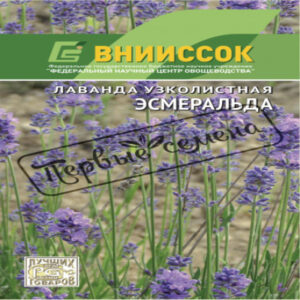 Pslnv4EPh2i9KpZ96MpyF6K0arKDwKz9400_400-1