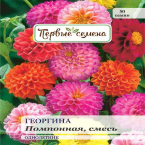 QqMj0V4YmsPd1Tv5paDtC7QaBdb0Rmht400_400-1