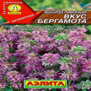 RAaLVwPZHP0bVpvYM141uuFbVLnU5aIv400_400-1