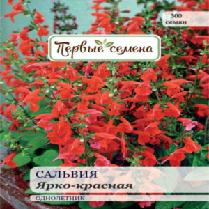 RAdcdwaZMYuuelztBfNi4hae8WDQs6hd400_400-1