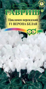 SkzQbJm78QKztra5osQdjHwLyjI1OYJw400_400-1