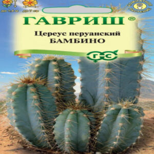 Stkjmu0vRxfgTMoNNbVUU2tq74SQnZCy400_400-1