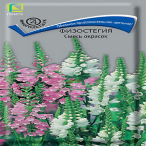 VCJ87A3zRjAVn0gFdTLcKItuzD8nW99Y400_400-1