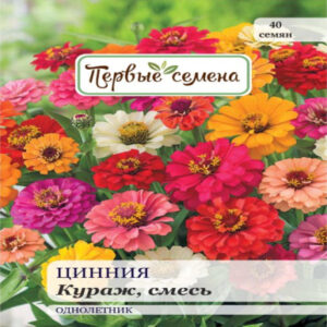 Vhi7cJwKNSpvKSbjWlIC7qpXRFAJK7bU400_400-1