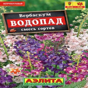 aPlrIeI7FhE5s4tk90aEBo5KGu43TVzC400_400-1