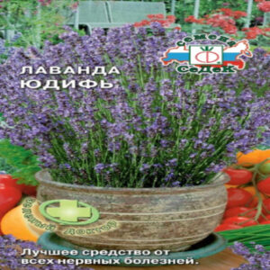 bgr2Q6MpK9GPgzwZ3khYZkcl3qiHlkCB400_400-1