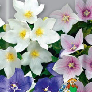 cNJqDeleS6cJbY7gT7sUMZg0r90Zosoo400_400-1