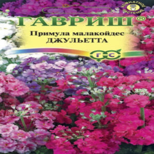 cd7oVi3ALji0jmPNQrpTUNjVjm5CA3p6400_400-1