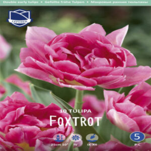 fwhITV60SybsSrGhVuPyLYPuYaVAonf4400_400-1