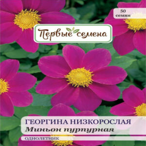 g81kpZtomwVoLHfjXPJ1kCypnbFFQOQp400_400-1
