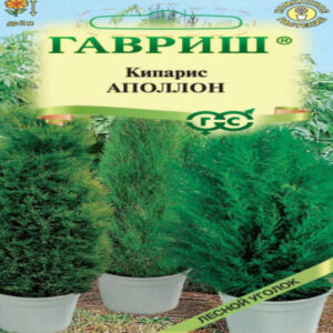 gIKM5Rf0PoxQpUx1YIYfkDTgOIo8Tf71400_400-1