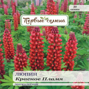 gx1GjtgDO1mY8ZJoVVEEh7YVGdn8sX2X400_400-1