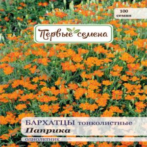 hHnVHl3ORbTQ1VXBuSs4TPRDe9i7QI7f400_400-1