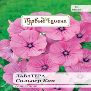 mBTdVBQINip3xZxxyJGTqtLe5juEDyea400_400-1