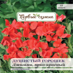 o06StM5Lz6yWdAUugzZM6bh4a5ViyBKD400_400-1