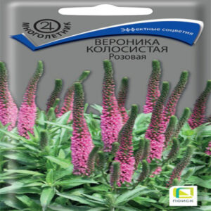odXWpUUSjDntBLi72ppN31mtIHiU7utl400_400-1