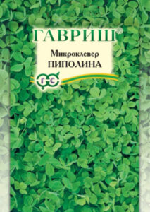 qGu0hzgKDZI6EIOHYCL6pbevDOUEd7Zk400_400-1