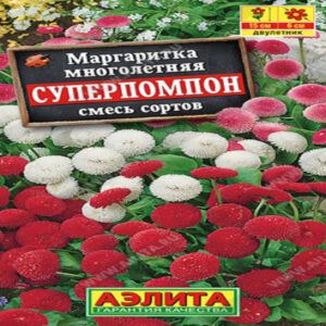 qVNWD20sbTArJp63aiA5RQkBWhhBCiMe400_400-1