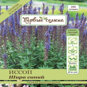 rRTCulJZOH13u8BtGZVyTebjtfFn4C3A400_400-1