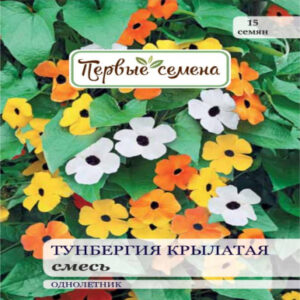 scXtN2s2YEImJnefeqsLP9NY9BkFKre7400_400-1