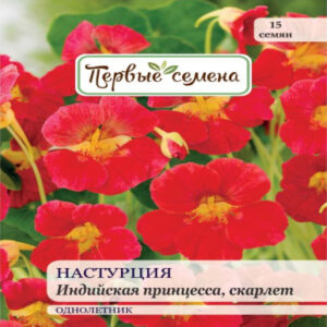 ujdWMsPtdMwaXpziPf6EtBsjJy1O3iFG400_400-1