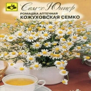 vMoSJpaP4k65mN6cmcpqs4FtCkyTPlaQ400_400-1