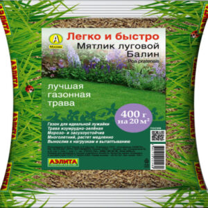 vlrC8rb6GVpRdkZaNb429zea2p5t3qnG400_400-1