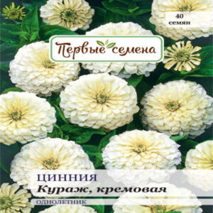 vtsFTTSYXHMVgovWk1hGl8iHzMTLxTVt400_400-1