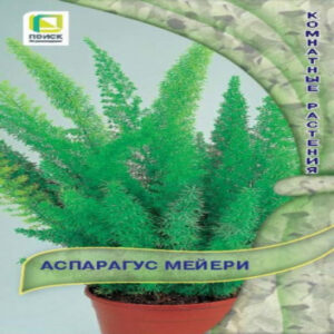 xL3qJXNh09C2W708H78DRGhv53SHVaT8400_400-1